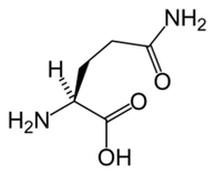 L-glutamina w Keto Diet